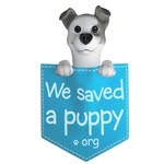 Veterinary | Animal Rescue  🐕🐱