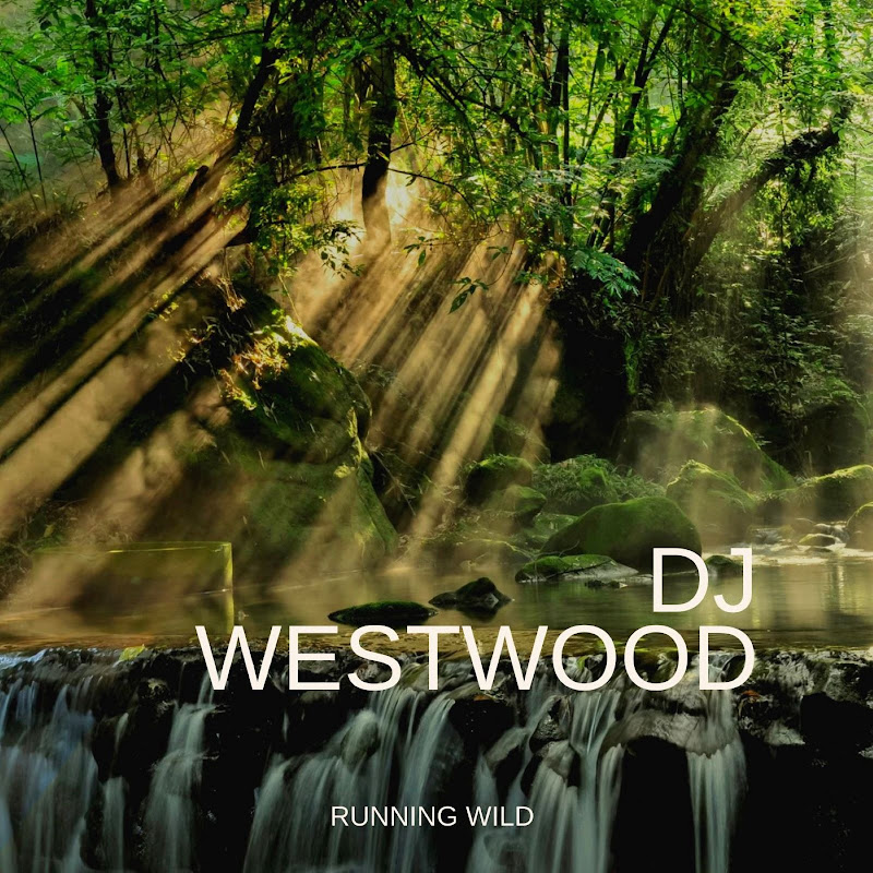 DJ WESTWOOD
