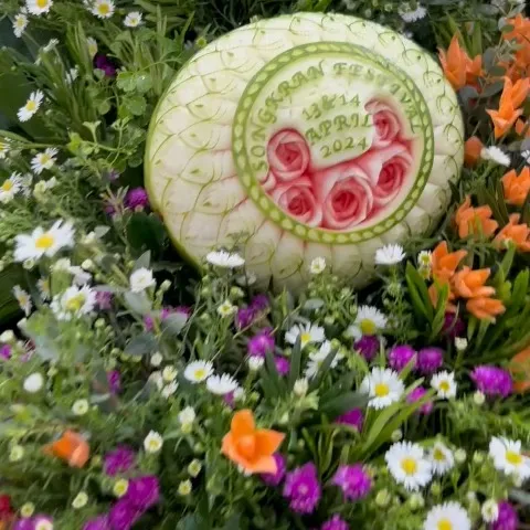 GREEN.GREEN🐯福虎家族🐯友情無價