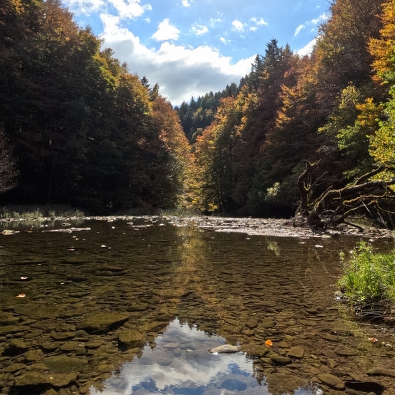 Nature Story