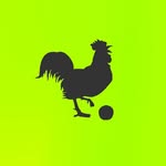 Celeiro Criativo Marketing & Branding 🐓