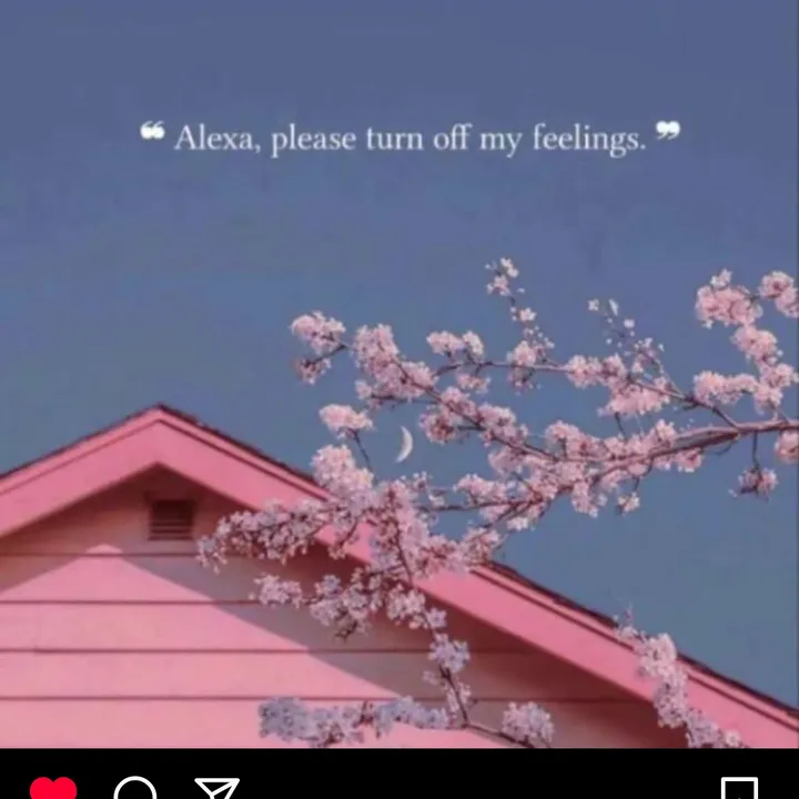 Pena❤️🫶🏻❤️
