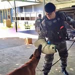 Pablo | Adestrador de cães | cinotécnico