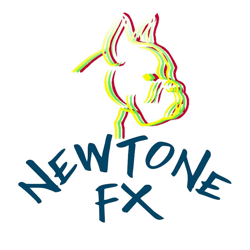 Newtone FX