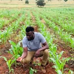 Godfrey Mohubedu