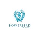 Bowerbird on Argyle