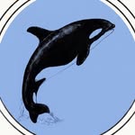 NAUTFILM