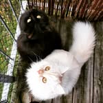 Gothenburg, Sweden🇸🇪