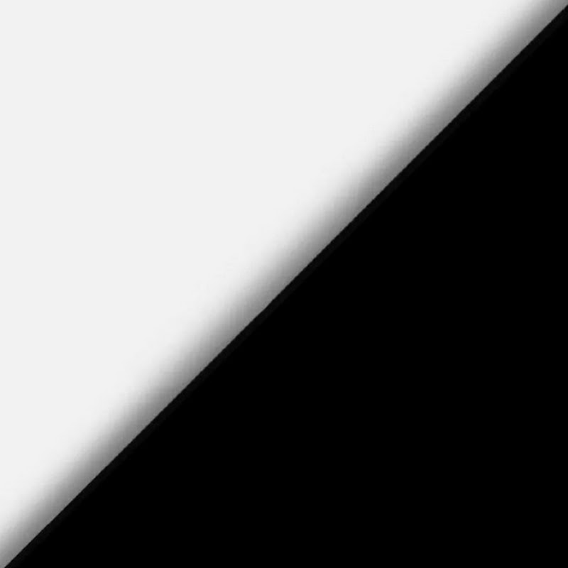 N.S LD