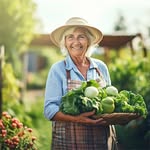 Veggies Hub