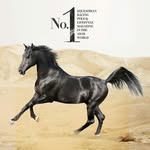 Al Badia Magazine
