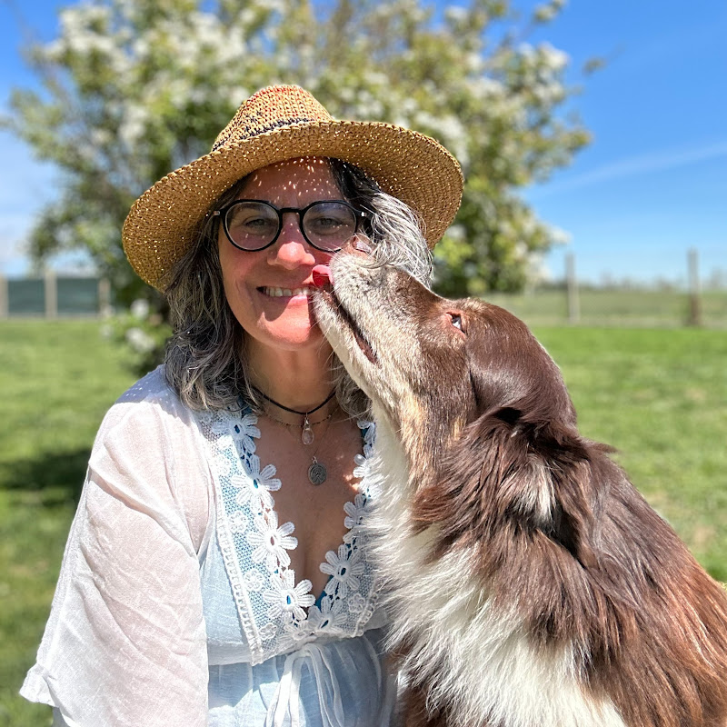 Enlightened Animal Art - Animal Artist