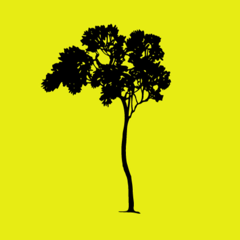 Jamie Tree 