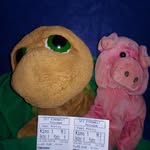 Mr. Turtle und Schweinchen