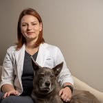Courtney Deer, DVM | ER Veterinarian