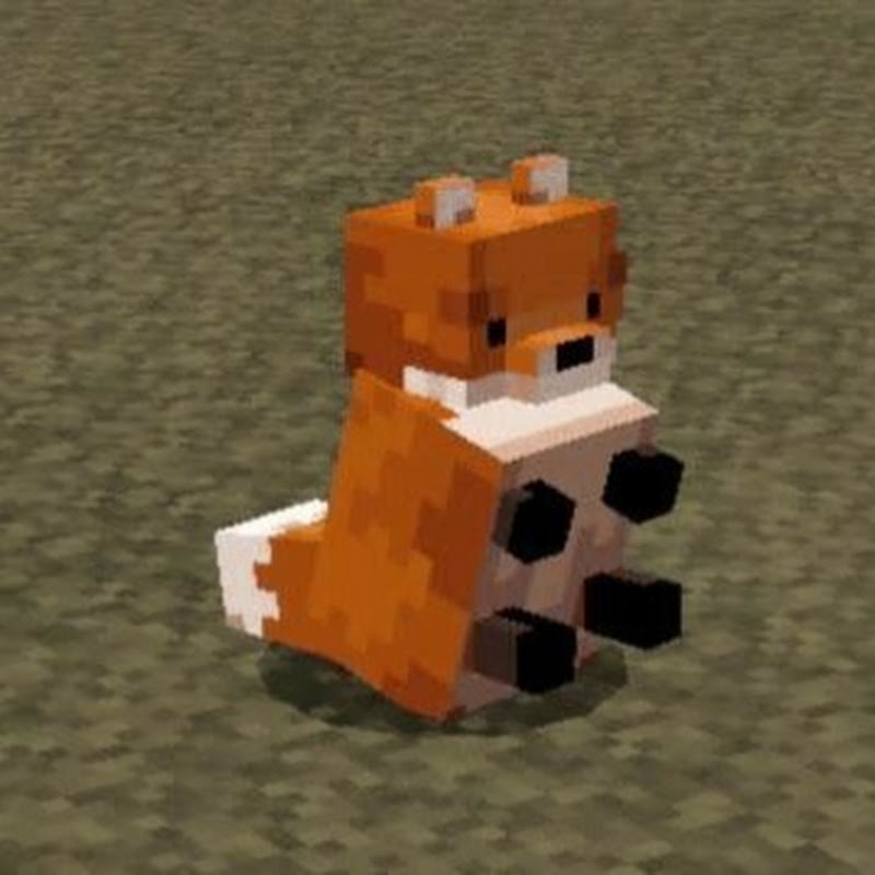 Skyrat