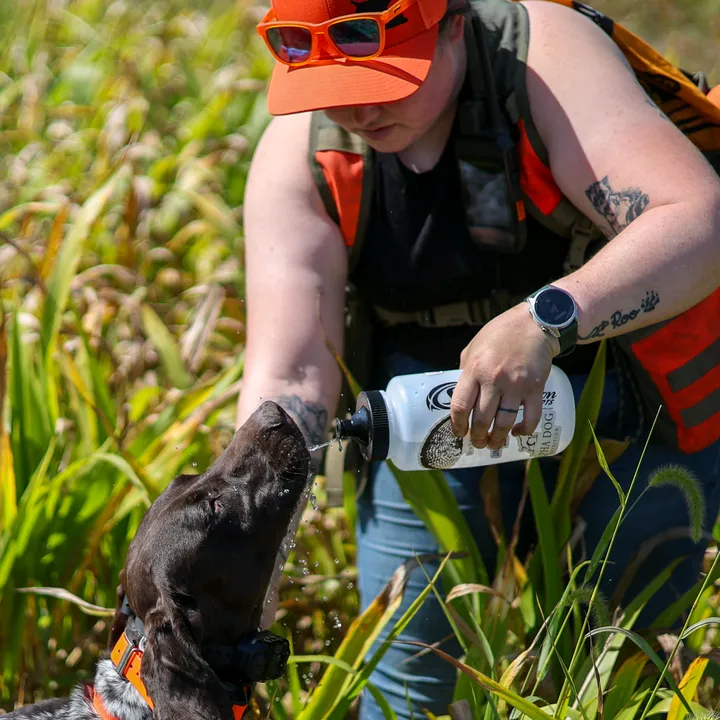 lonesomewillowgundogs