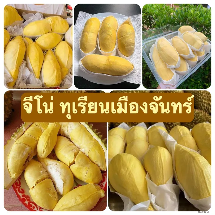 G1durian
