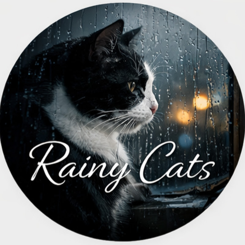Rainy Cats