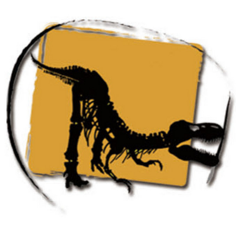 My Dinosaurs Co., Ltd.