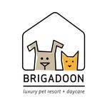 Brigadoon Pet Resort & Daycare
