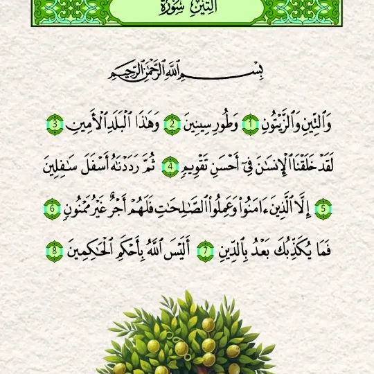 Haayat