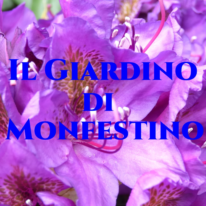 Il Giardino di Monfestino Gardeners World
