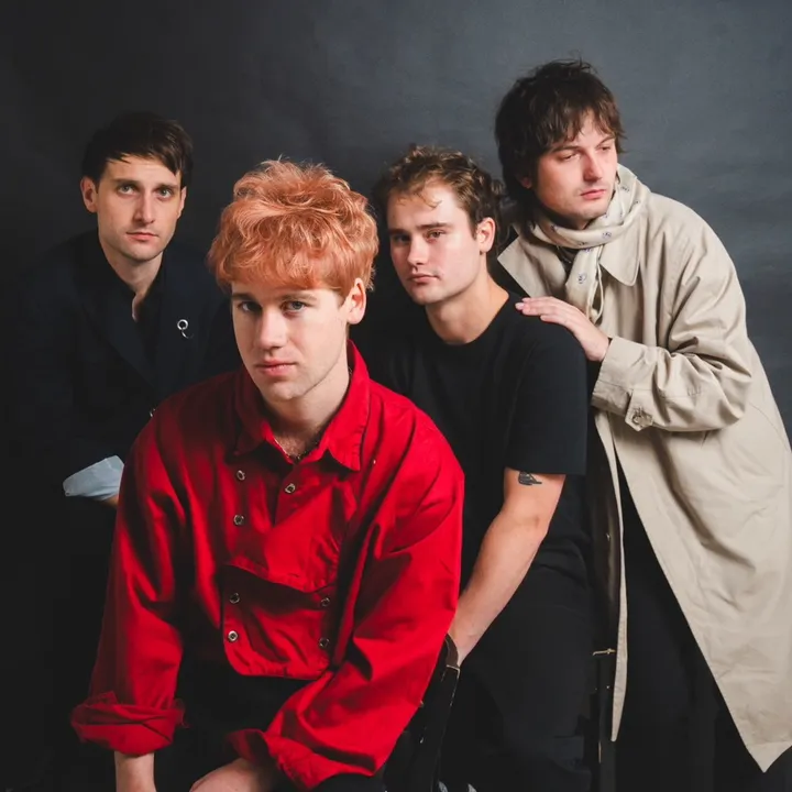 The Velvet Hands