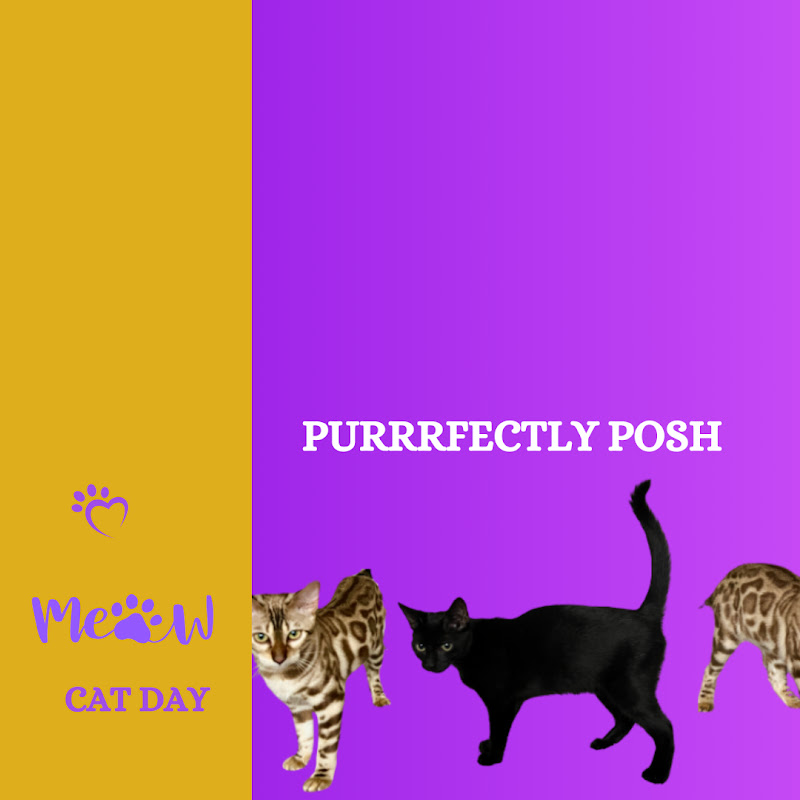 Purrrfectly Posh