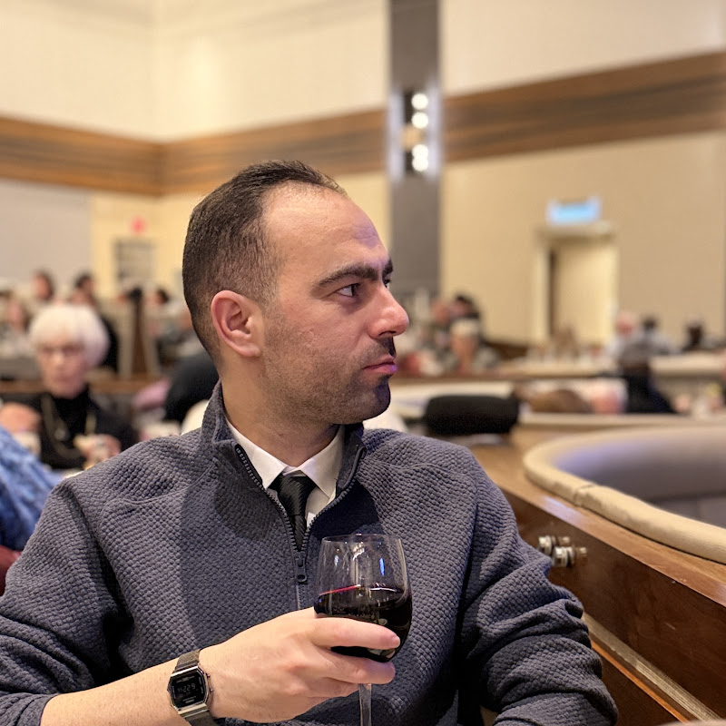 Hamed Samizadeh