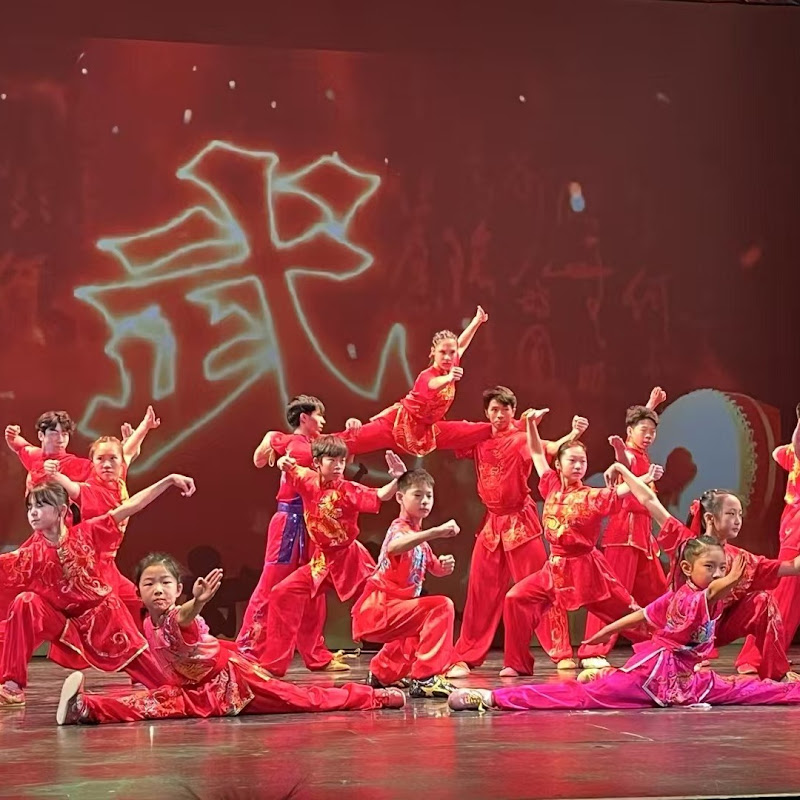 Wayland Li Martial Arts