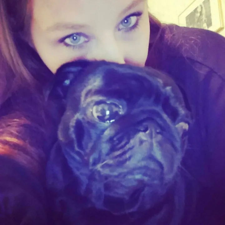 ❤️Sαяαнℓιfє❤️