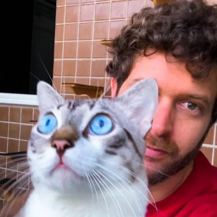 Gatinho Morfeu