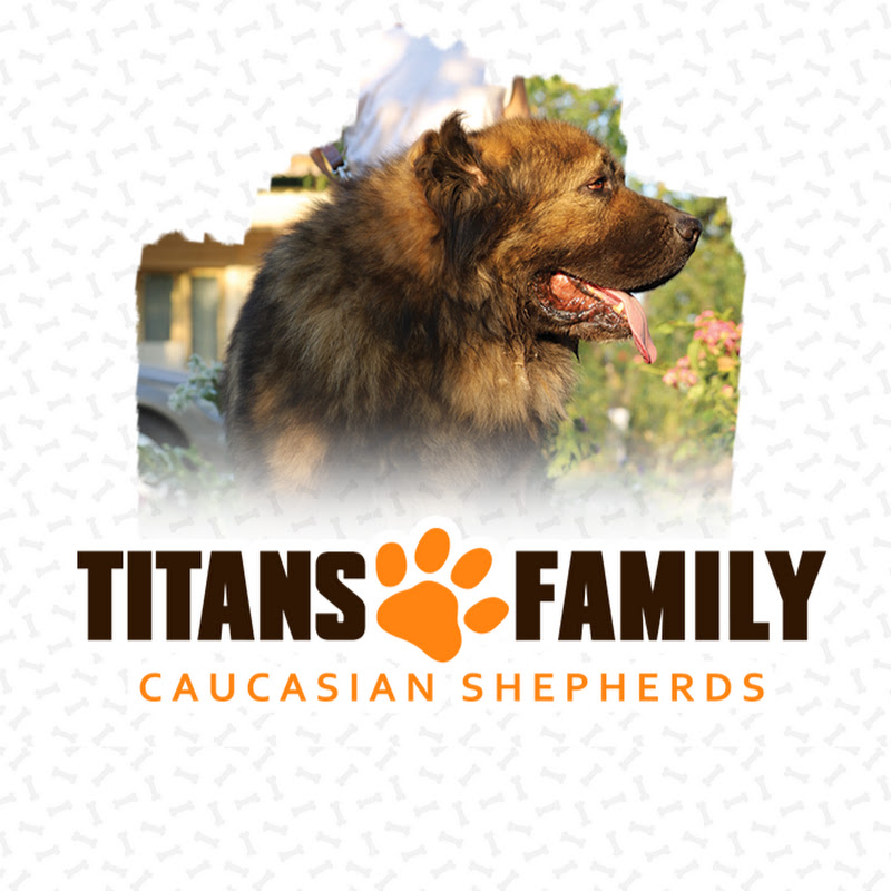Caucasian Shepherds