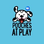 Pooches At Play
