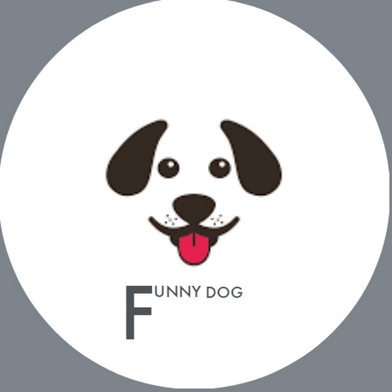 FUNNY DOG