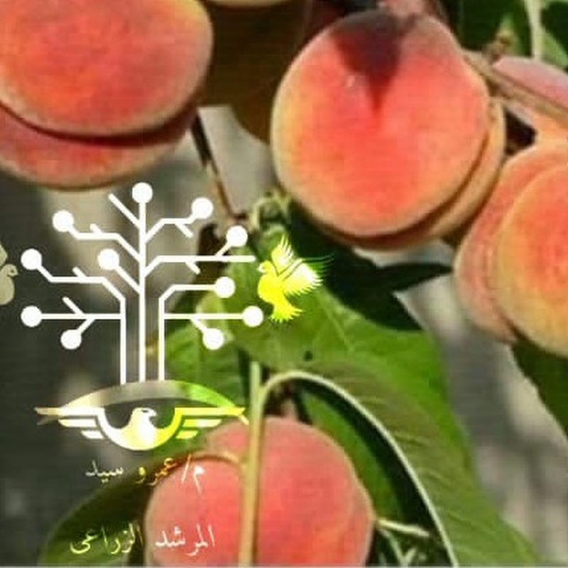 المرشد الزراعي