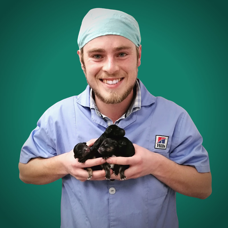Dogtor Pete