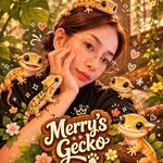 Merry's Gecko