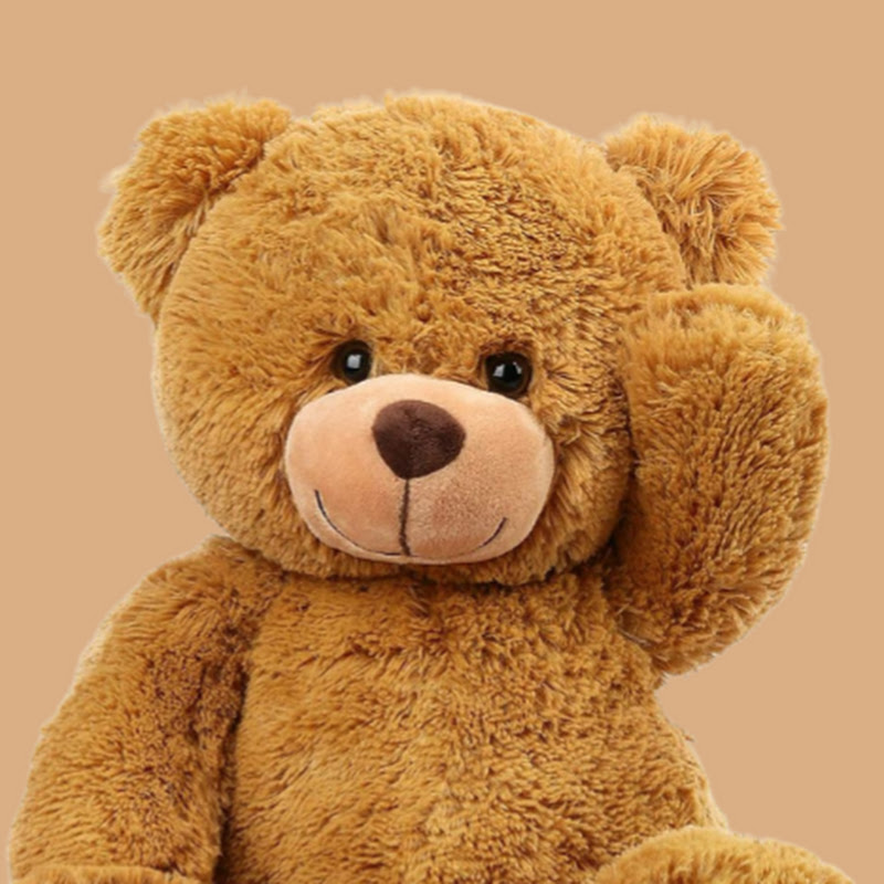 TEDDY