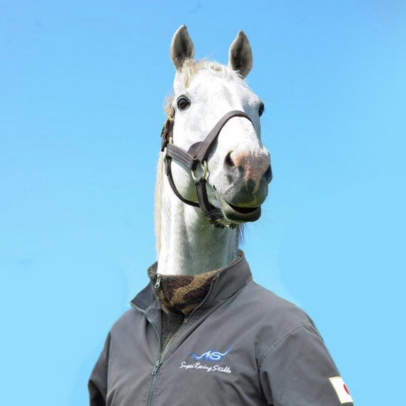A dumb horse