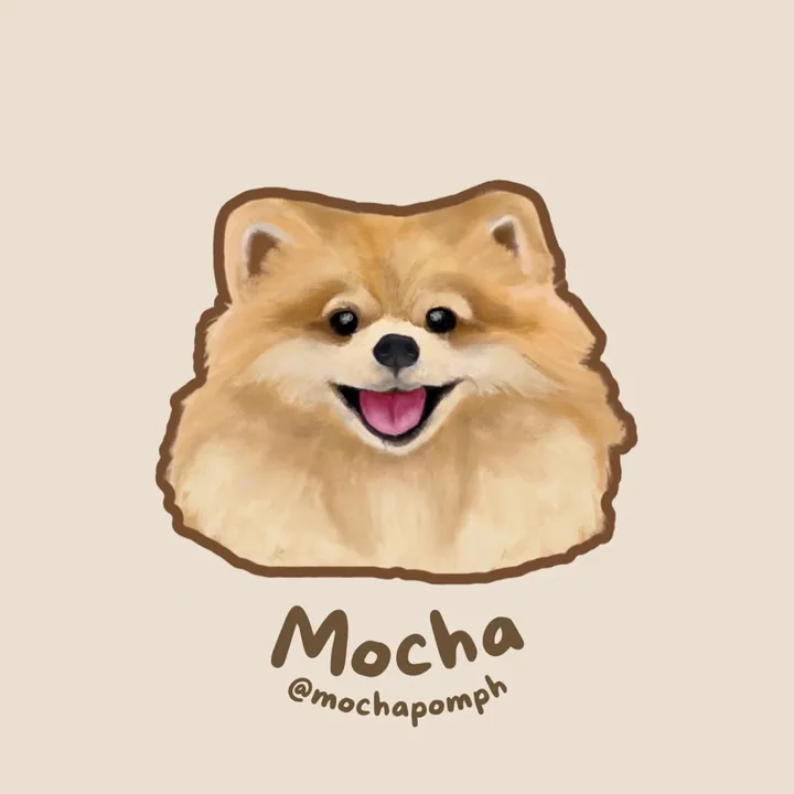 Mocha Pom Ph