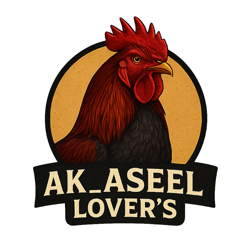 @Ak_Aseel lover's 