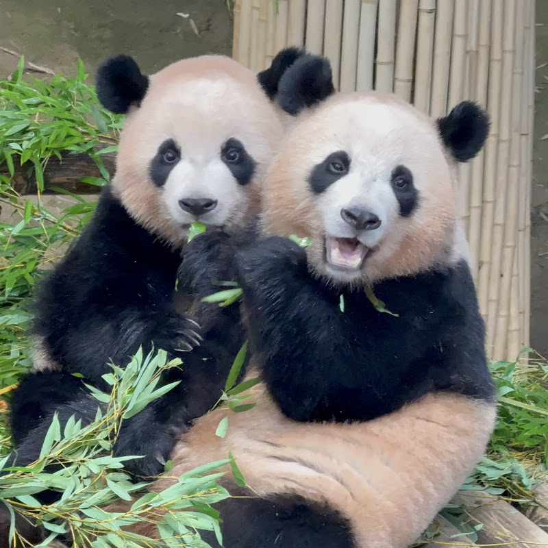 쑤나의모음집:)