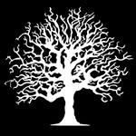 OAKLIFT ®