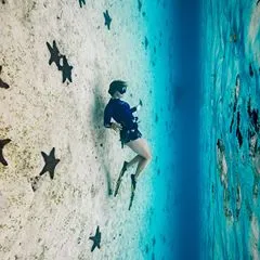 Michelle | Ocean Life