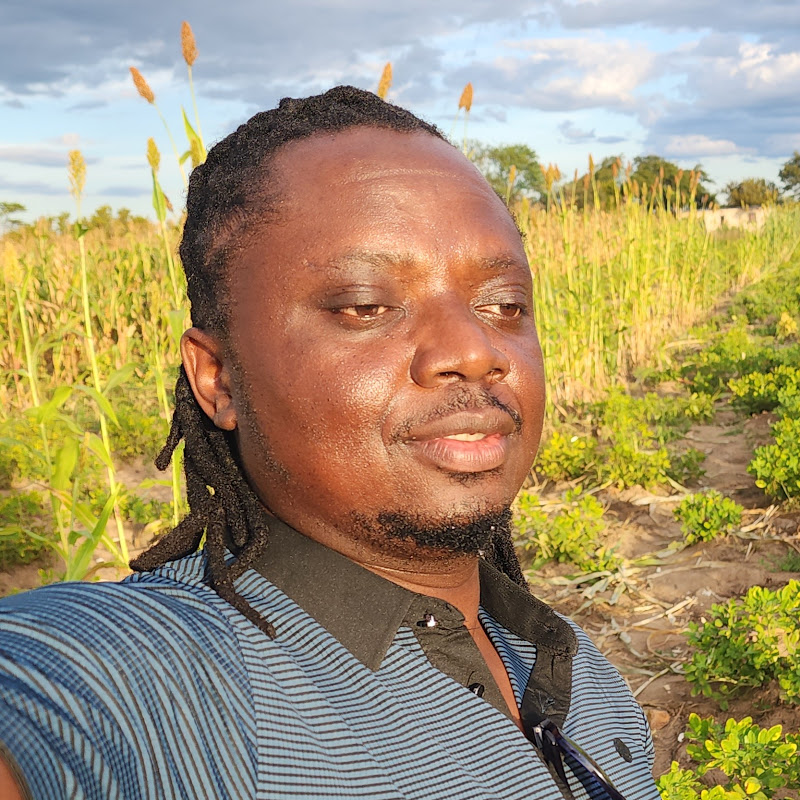 Tinashe Nyangari