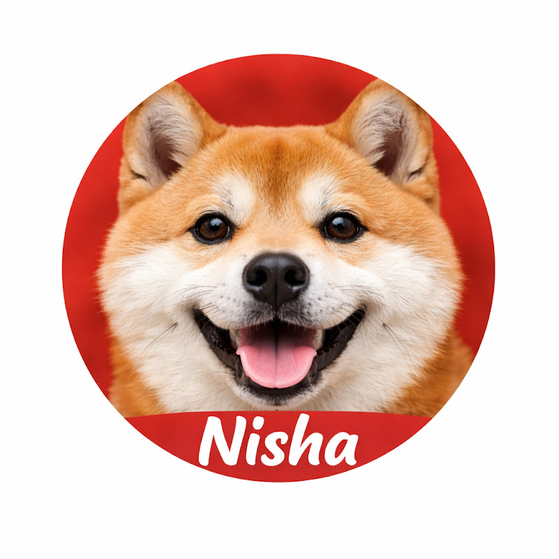 ニシャ犬チャンネル 🐶Nisha Dog Channel