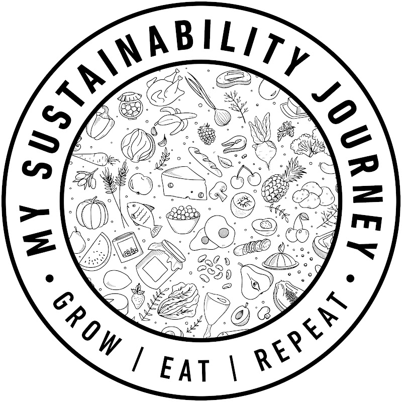 My Sustainability Journey
