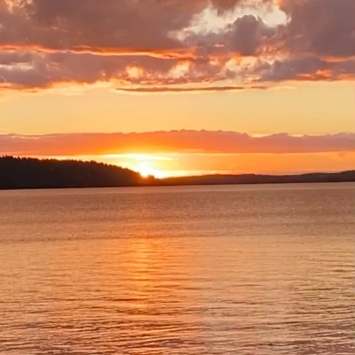 tikstokki